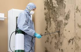 Best Mold Odor Removal Services  in Upper Greenwood Lake, NJ